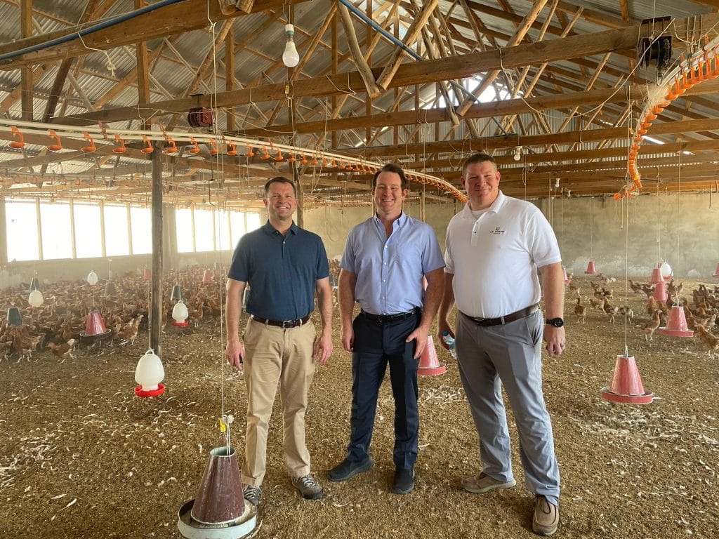 image of three men in a chicken house in Tanzania
