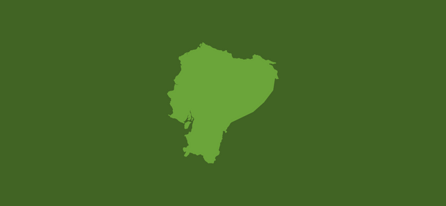 image of a graphic of Ecuador