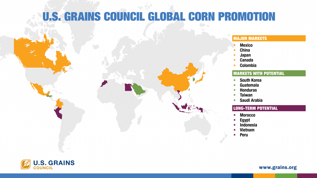 USGC global corn promotion infographic