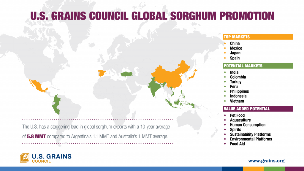 image of infographic on global sorghum promotion
