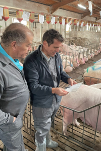 Two men examining paperwork in a pig farm